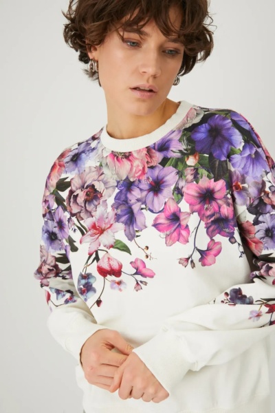 толстовка. Изображение 2