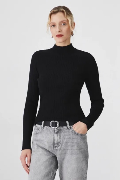 водолазка. Изображение 1