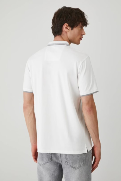 поло. Изображение 4